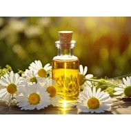 Roman Chamomile Oil